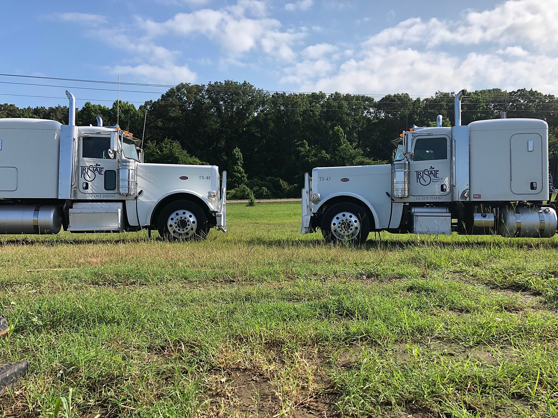 Two white Peterbilts at the yard